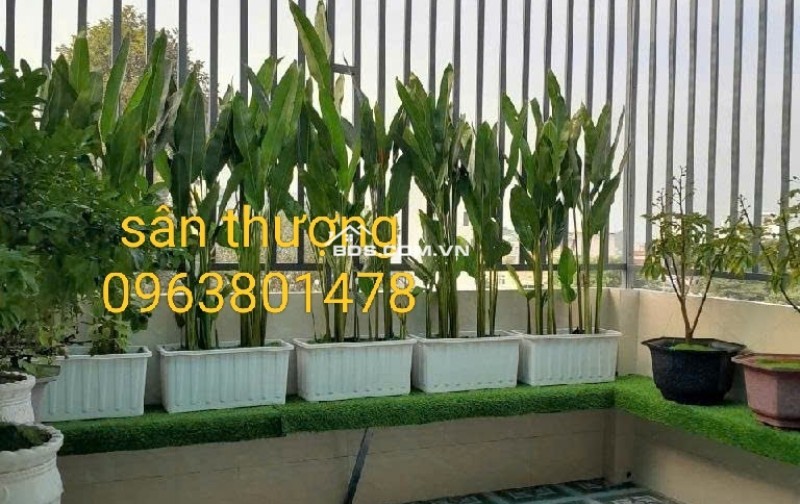 BÁN NHÀ MẶT TIỀN HIỆP THÀNH 68M² 4 LẦU 5PN  NHỈNH 7 TỶ