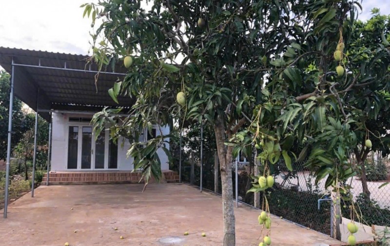 Bán vườn 1000m2 có nhà cấp 4, cây ăn trái thuộc xã Đá Bạc