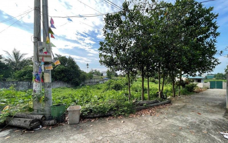 Bán lô đất 1227m2 tại La Gián Cổ Đông - Sơn Tây - Hà Nội giá chỉ 8tr/1m2