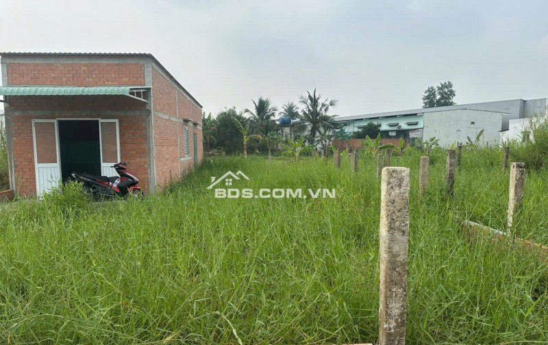 Bán 02 Lô Đất Liền Kề, Tổng Diện Tích 200m2 Tại  Ấp 1, Xã Nhị Thành, Huyện Thủ Thừa, Long An.