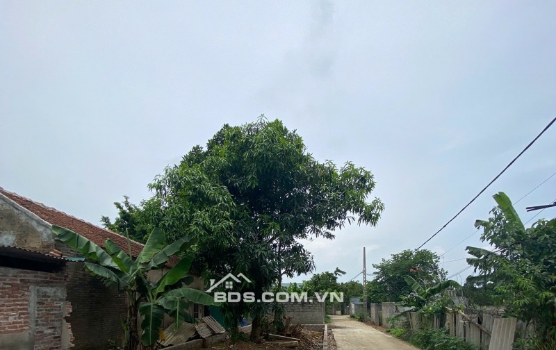 Bán đất 95m2 tại Đông Phương Yên, Chương Mỹ, Hà Nội, giá tốt 3,1 tỷ