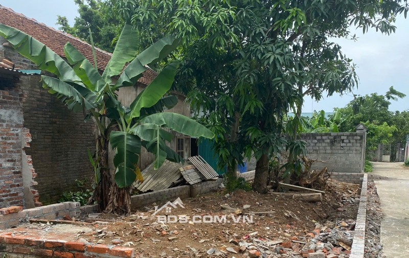 Bán đất 95m2 tại Đông Phương Yên, Chương Mỹ, Hà Nội, giá tốt 3,1 tỷ