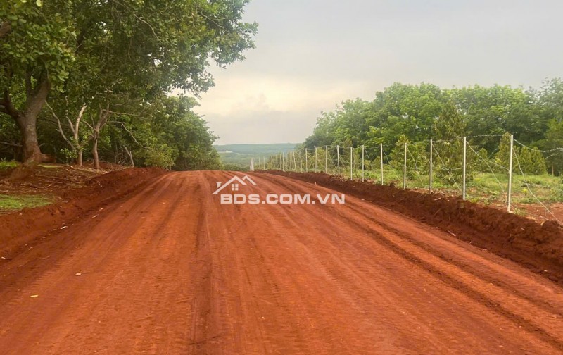 Bán gấp 1000m2 đất vườn giá 230 triệu liên hệ 0706 320 631 gặp AN