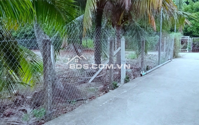 Bán Lô Đất Đẹp Mặt Tiền Đường An Sơn 32 – Gần Quanh Đai 3 – Chỉ 9,2 Triệu/M²