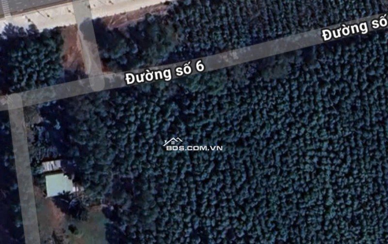  THÁNG 6 – BƯỚC NGOẶC VÀNG TẠI LONG TÂN: GIÁ ĐẤT CHỈ TỪ 4 TRIỆU/M² – KHỞI ĐẦU CHO MỘT CHU KỲ MỚI! 