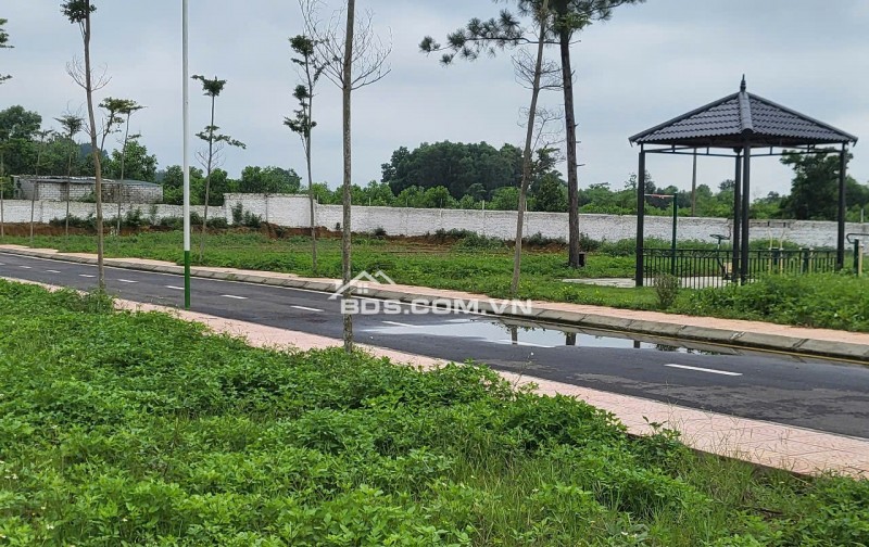 SIÊU PHẨM CAO CẤP ĐẾN TỪ LA GIÁN CỔ ĐÔNG SƠN TÂY HÀ NỘI