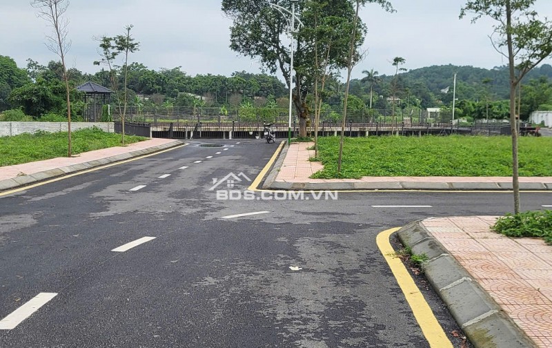 SIÊU PHẨM CAO CẤP ĐẾN TỪ LA GIÁN CỔ ĐÔNG SƠN TÂY HÀ NỘI