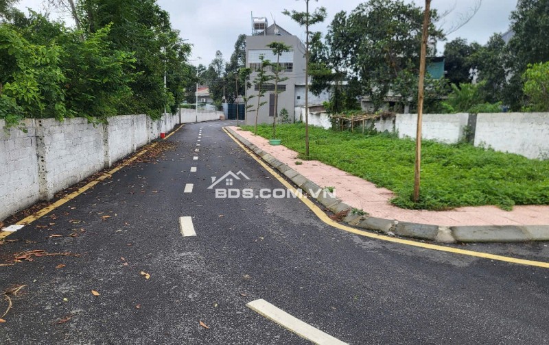 SIÊU PHẨM CAO CẤP ĐẾN TỪ LA GIÁN CỔ ĐÔNG SƠN TÂY HÀ NỘI