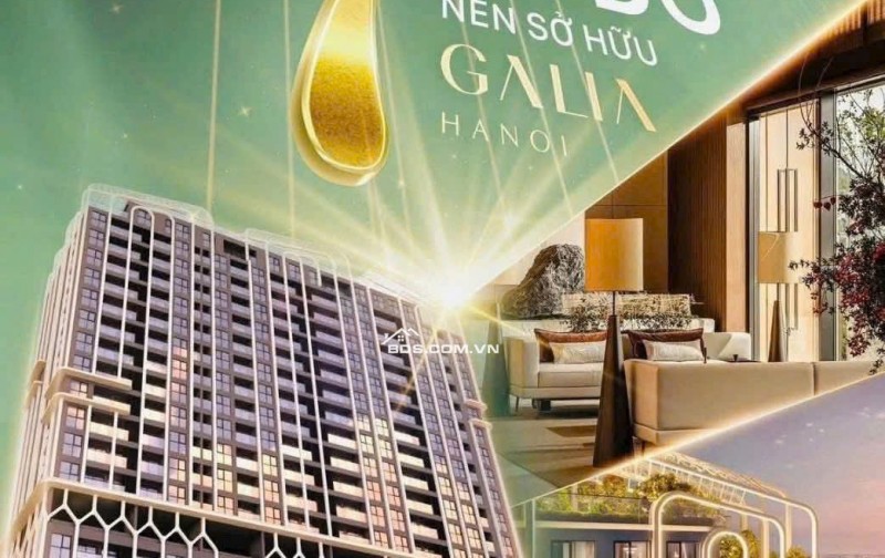 Ra mắt dự án Hot nhất phía Nam GALIA Hà Nội chiết khấu tối đa 19%
