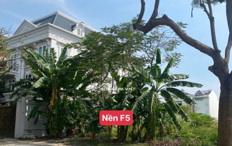 BÁN ĐẤT DỰ ÁN ĐÔNG THỦ THIÊM - MẶT TIỀN SỔ HỒNG - 15X25M - 98.6TR/M2