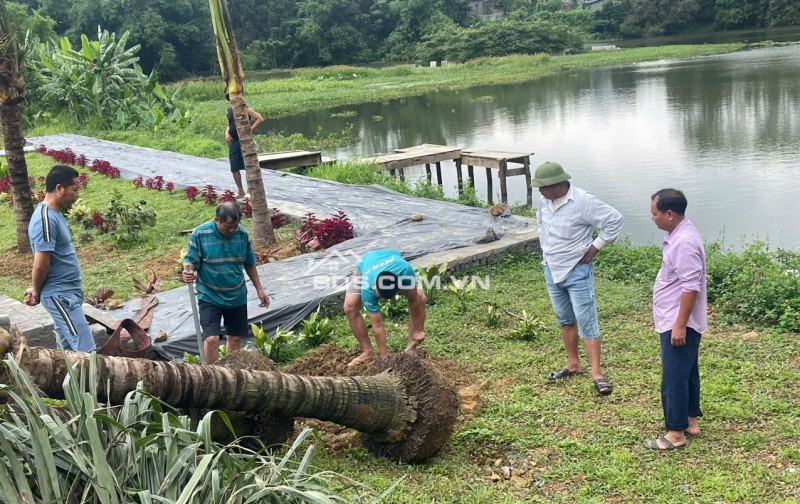 Bán đất nền dự án full thổ cư ngay trung tâm tt Chi Nê giá từ 14tr/m2