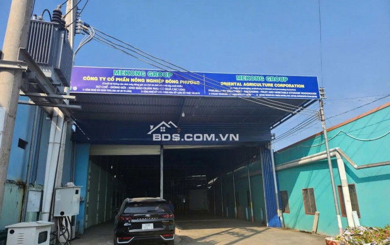 CHO THUÊ KHO XƯỞNG SƠ CHẾ BẢO QUẢN TRÁI CÂY TẠI LONG AN, CHỈ 1.8TR/NGÀY. LH:0908005554 – 0938702006.