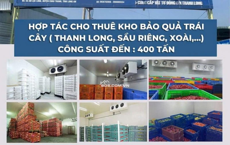 CHO THUÊ KHO XƯỞNG SƠ CHẾ BẢO QUẢN TRÁI CÂY TẠI LONG AN, CHỈ 1.8TR/NGÀY. LH:0908005554 – 0938702006.