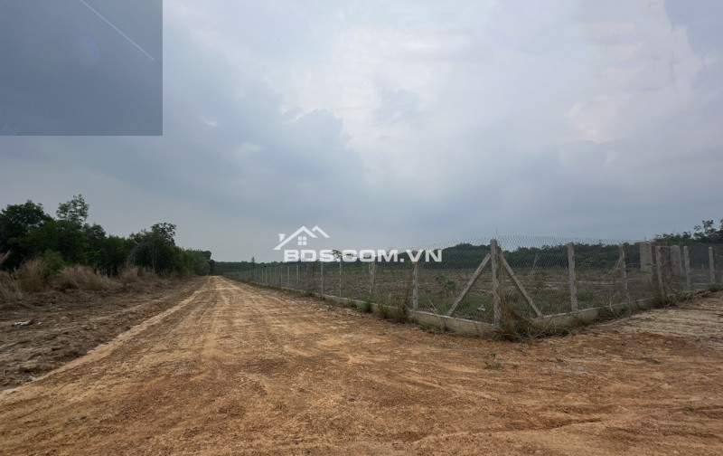 Bán lô đất đẹp 2978m2 (1300m2 thổ) xã Láng dài, Đất đỏ, Bà rịa