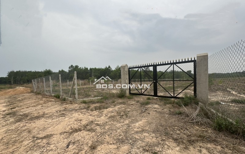 Bán lô đất đẹp 2978m2 (1300m2 thổ) xã Láng dài, Đất đỏ, Bà rịa