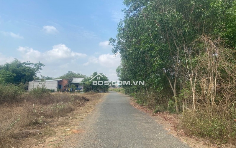 Bán lô đất đẹp 2978m2 (1300m2 thổ) xã Láng dài, Đất đỏ, Bà rịa