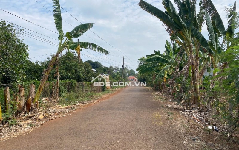 Bán lô đất đẹp 2978m2 (1300m2 thổ) xã Láng dài, Đất đỏ, Bà rịa