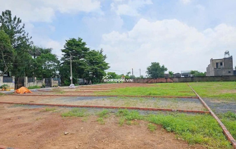 Bán đất cạnh Tổng kho Logistic miền Đông 620ha