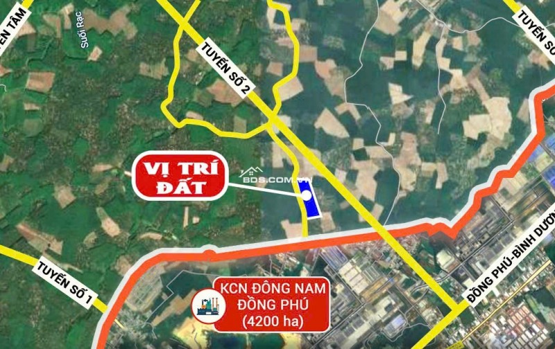 BÁN GẤP LÔ ĐẤT TÂN HOÀ - ĐỒNG PHÚ, BÌNH PHƯỚC CHỈ 4XX TRIỆU - GẦN KCN, ĐƯỜNG LỚN, SỔ SẴN!