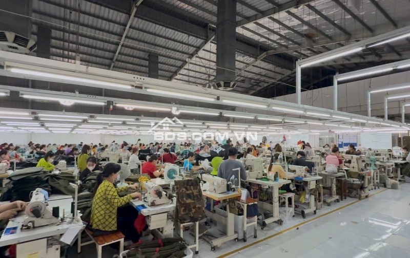 Nhà xưởng 80X tỷ đang cho Cty Hàn Quốc thuê
