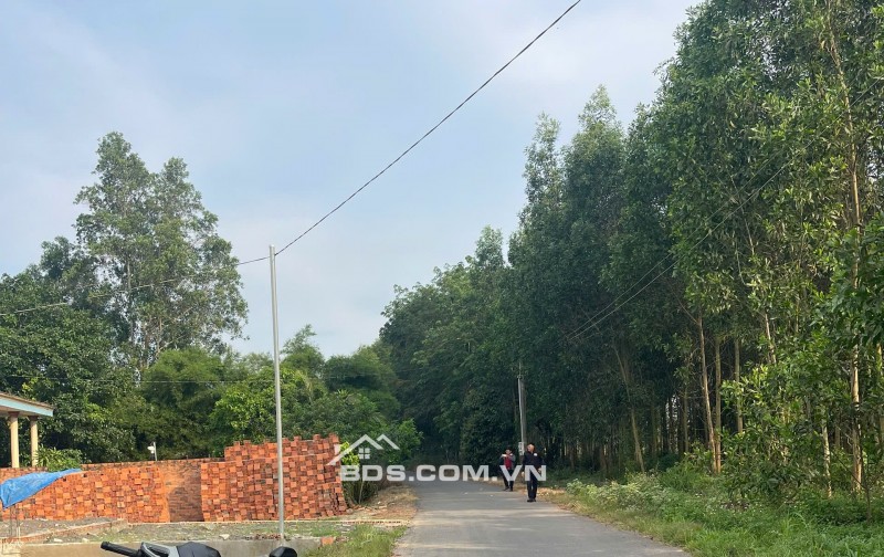 Bán 115m2 đất ở xã An Viễn, tỉnh Đồng Nai, 9,56 tr/m2