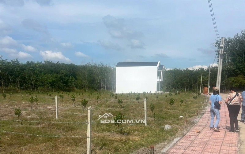 Đất nền thổ cư thuộc TP.HCM chỉ với 200 triệu, 250m2, sổ hồng sẵn