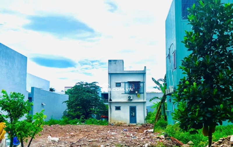 Chính chủ bán 3 lô đất thuộc Khu nam cầu Cẩm Lệ, P.Hòa Xuân, Q.Cẩm Lệ, TP Đà Nẵng