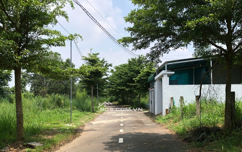 118m2 thổ cư 1 sẹc Nguyễn Hoàng, xã Trảng Bom, Đồng Nai