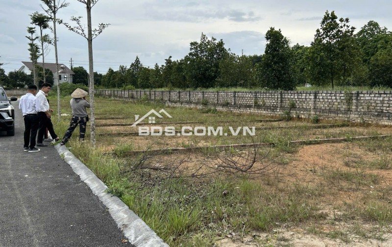 Bán đất đẹp Giao Phong,Giao thủy Quất lâm Nam ĐỊnh sổ đỏ chính chủ