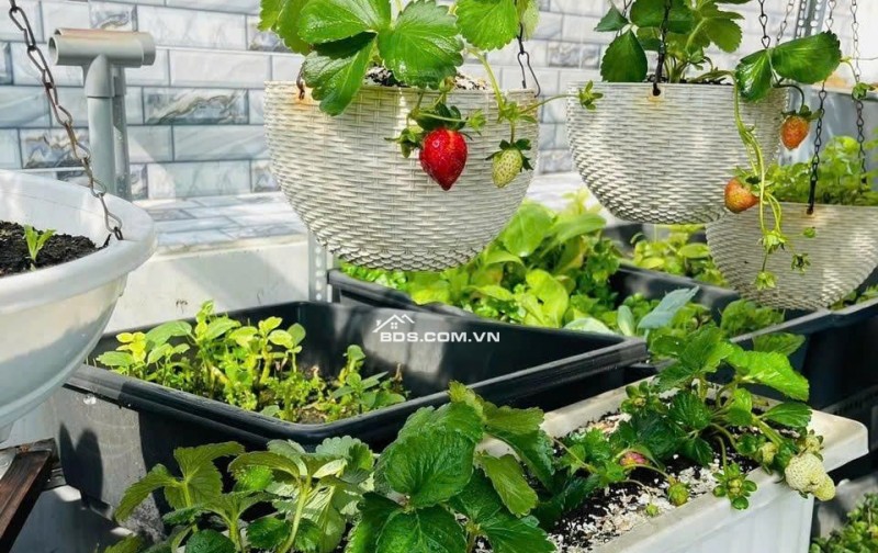 NHÀ MỚI 5 TẦNG Q10 – HXH – GIÁ CHỈ 5 TỶ 4 . LH:0988954579.