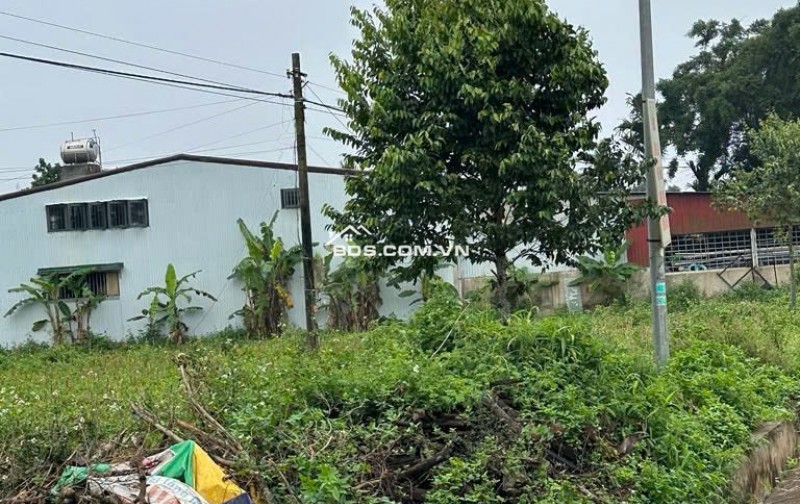 BÁN ĐẤT MẶT TIỀN TẠI PHƯỜNG CƯ BAO, DT: 1,928M2, SHR, 9 TỶ, LH 0815462039