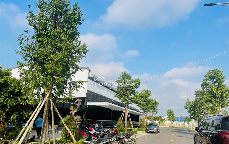 CẦN BÁN ĐÁT KINGHILL RESIDENCE XÃ THANH PHÚ HUYỆN BẾN LỨC CHỈ 850 TRIỆU
