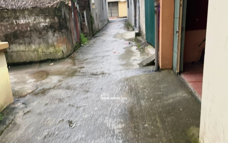 An cư lý tưởng tại Thạch Đà – mảnh đất như mơ 245m² Bạn đang tìm nơi xây tổ ấm? Đây chính là lựa chọn đáng giá: