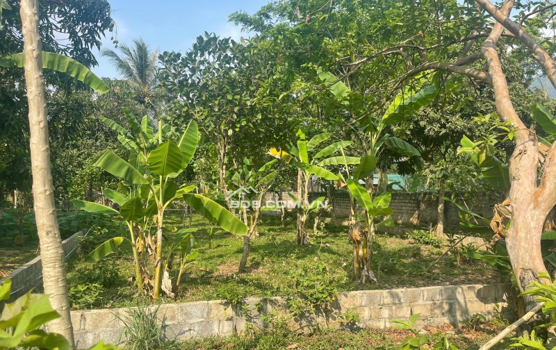 Cần bán gấp 237m đất thổ cư tại Mai Hạ, Mai châu, Hoà Bình