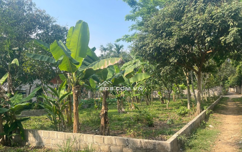 Cần bán gấp 237m đất thổ cư tại Mai Hạ, Mai châu, Hoà Bình