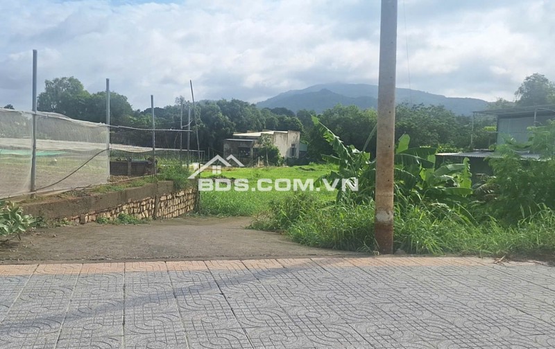 BÁN ĐẤT ĐƯỜNG TRÁNH QL56 TÂN HẢI, PHÚ MỸ, BÀ RỊA VŨNG TÀU. 1773M2 CÓ 300M2 THỔ CƯ. LH:0588201669