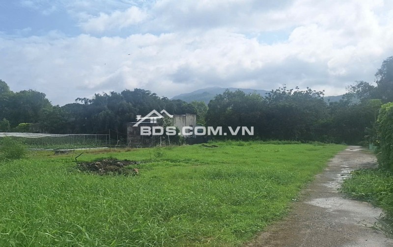 BÁN ĐẤT ĐƯỜNG TRÁNH QL56 TÂN HẢI, PHÚ MỸ, BÀ RỊA VŨNG TÀU. 1773M2 CÓ 300M2 THỔ CƯ. LH:0588201669