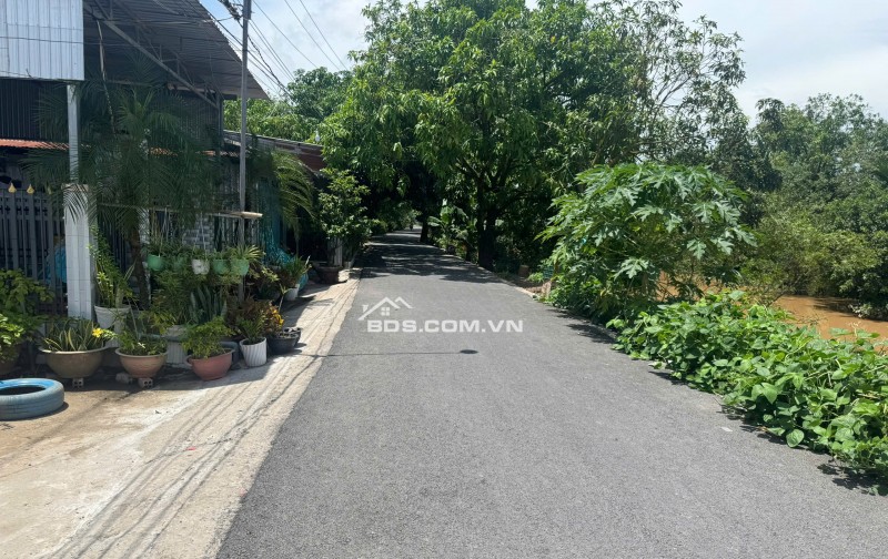 CẦN BÁN GẤP NỀN XÃ TÂN THUẬN ĐÔNG, CAO LÃNH, ĐỒNG THÁP