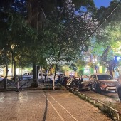 Bán biệt thự làng việt kiều châu âu, diện tích 158m, 4 tầng, mt 9m, kinh doanh tốt