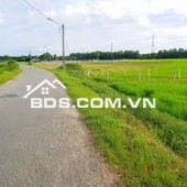 Bán rất gấp Lô đất tại mặt tiền đường Phú Thuận- thuộc xã Phú Mỹ Hưng, huyện Củ Chi, thành phố Hồ Chí Minh .