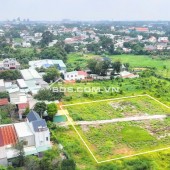 Mua Ngay Lô Đất Trung Tâm Bình Dương – Vừa Ở Vừa Đầu Tư Quá Tuyệt
