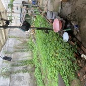 DUY NHẤT LÔ ĐẤT CÒN SÓT LẠI - BÁN NHÀ MẶT TIỀN XE HƠI ĐẬU CỬA - ĐƯỜNG SÔNG THƯƠNG P.2 Q.TÂN BÌNH