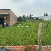 Bán 02 Lô Đất Liền Kề, Tổng Diện Tích 200m2 Tại  Ấp 1, Xã Nhị Thành, Huyện Thủ Thừa, Long An.