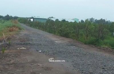 Chính Chủ Bán Nhà Tiền Chế Và 1300m2 Đất Tại Xã Thuận Bình, Thạnh Hóa, Long An