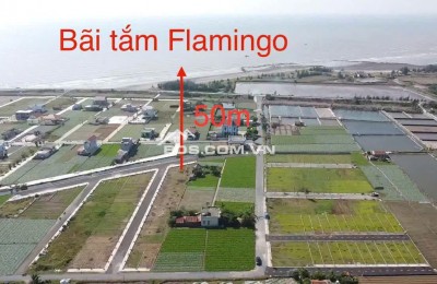 CẮT LỖ LÔ CỰC ĐẸP NGAY BÃI TẮM FLAMINGO TẠI QUẤT LÂM NAM ĐỊNH