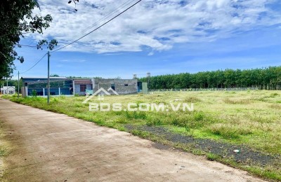 BÁN NHANH 202M2 ĐẤT THỔ CƯ SHR SÁT BÊN CHỢ TRƯỜNG HỌC DÂN CƯ HIỆN HỮU. GIÁ 190TR