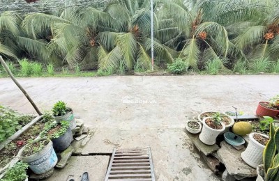 Bán Nhà 1 Trệt 1 Lửng Mặt Tiền Đường Bê Tông Tại Ấp 3, xã Tân Bửu, Bến Lức, Long An