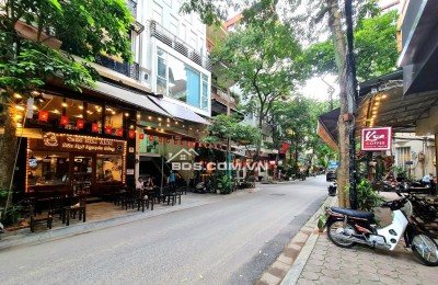 Nhà Đẹp Phố VIP Nguyên Hồng, Đống Đa 45m, 6 tầng, mt 5m, giá 33 tỷ