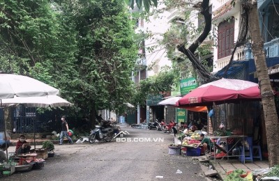 Bán nhà đẹp ngõ phố Trần Điền 51m x5T, kinh doanh, ô tô đỗ cửa, Giá 16.9 tỷ