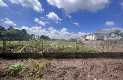 Bán Gấp 1000m2 Đất Vườn Giá 210 Triệu Liên Hệ 0706320631 gặp A An